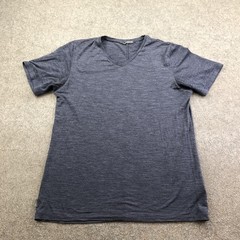 Icebreaker Shirt Mens Medium Blue Merino Wool Blend V-Neck Performance Tee Top