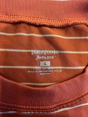 Patagonia Capilene Men’s L Striped Crew Neck Short Sleeve T-Shirt