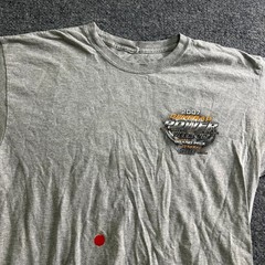 Generac T-Shirt Mens Size L Gray 2007 Racing Road America Graphic Distressed