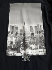 Air Jordan City Of Flight Long Sleeve Shirt – Medium Jumpman