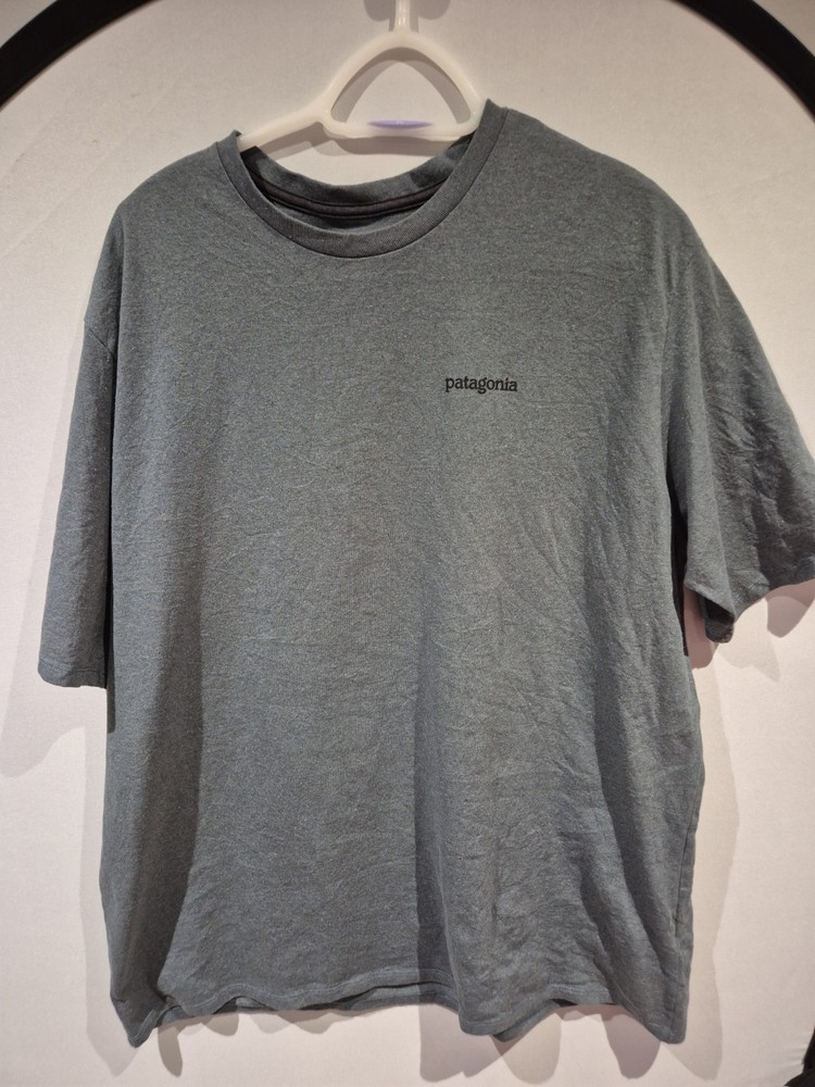 MENS PATAGONIA FITZ ROY HORIZONS RESPONSIBILI-TEE SIZE XXL