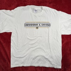 Gildan 2002 State Championships Swimming & Diving T-Shirt Men’s XL White Cotton