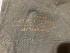 Destiny 2 Witch Queen Dev Team 2022 T-Shirt (Worn and stained)