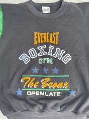 Everlast Boxing Gym The Bronx Colorblock Crewneck Sweatshirt Youth M-L 90s