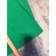 Fruit of the Loom T-Shirt Mens Large Green Bird Free Graphic Religious Quote