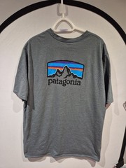 MENS PATAGONIA FITZ ROY HORIZONS RESPONSIBILI-TEE SIZE XXL