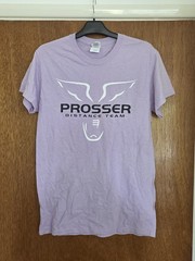 Gildan Ultra Cotton Prosser Distance Team Graphic T-Shirt Lavender Small S