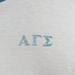 VTG Hanesport T-Shirt Men’s M Cream Teal Ringer Paper Thin Alpha Gamma Sigma 60s