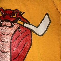 VTG 90s Single Stitch South Miami High Cobras Roller Hockey L Rolleredge Flagler