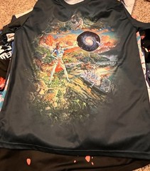 Bundle Of 14 Graphic Shirts Lot – Various Sizes, Brands, Types