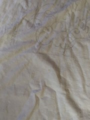 Walt Whitman Quote Female Form Shirt White Size L Rare Poet Poem