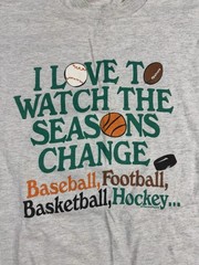 Vintage 90s Sports T Shirt Love To Watch Seasons Change XL Football Funny Fall