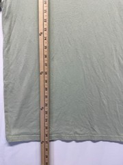 Hollister Must Have Collection T Shirt Mens Medium Light Green Cotton Crew Neck