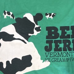 Vintage Ben and Jerry’s 100% Organic Cotton Green T-Shirt Men’s Medium