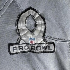 Houston Texans Jersey Mens 40 Gray NFL Football Pro Bowl Shirt Nike Watts 99