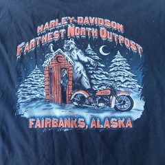 Vintage Y2K Harley Davidson Fairbanks Alaska Graphic T-Shirt Hanes Beefy L 2003