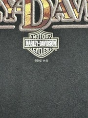 Harley Davidson Shirt Sz 2XL Austin Texas Smoking Bull Cut Sleeves Distresed Y2K
