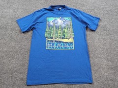 Vintage Rocky Mountains Shirt Mens Medium Blue 80s Short Sleeve Hanes Colorado