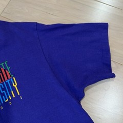 Vintage Celebrate Diversity Tee Purple T-Shirt Short Sleeve Size Large