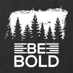 BE BOLD TShirt Tee Short-Sleeved Cotton MOTIVATIONAL CLOTHING S1BSA179