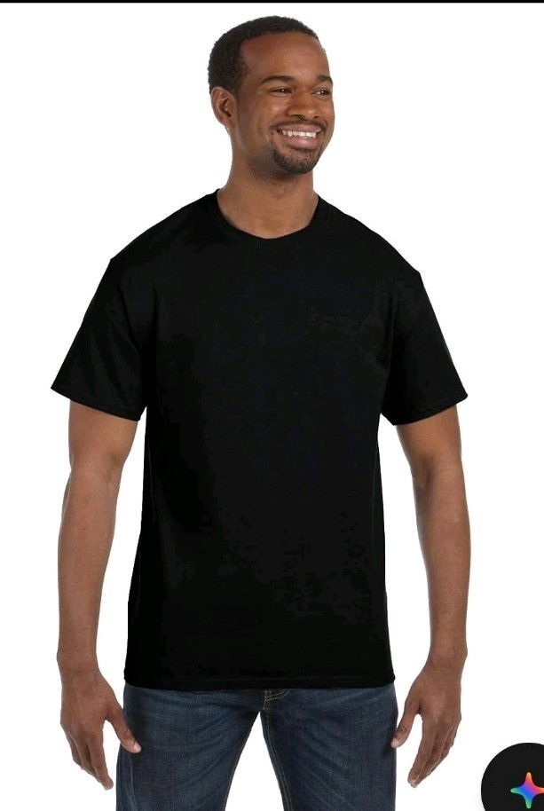 Hanes Mens 100% Cotton Black T-Shirt Crew Neck T Shirt – 5250T S-2XL