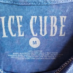 Ice Cube Mineral Wash It Was a Good Day Blue Tee Retro Graphic Mens Medium M Rap