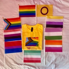 LGBTQ+ T-Shirt (Small) + 9 Pride Flags Bundle
