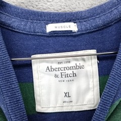 Abercrombie Fitch Shirt Mens XL Green Blue Muscle Crew Neck Long Sleeve Y2K