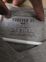 Forever 21 Men’s Small Gray Slim Fit V-Neck T-Shirt