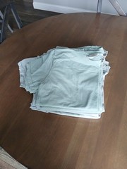 Comfort Colors Blank T-Shirt in Bay – 12 SHIRTS – VARIOUS SIZES – S, M, L, XL