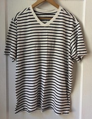 NWOT Pact Mens VNeck TShirt Blue White Stripe L Classic Preppy Nautical