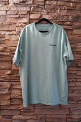 Patagonia Responsibili-Tee Men’s M Sage Green Cotton Crew Neck Logo Graphic Tee