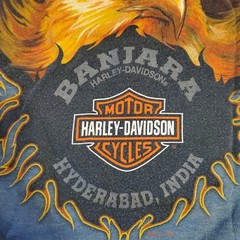 Harley-Davidson Hyderabad India Eagle Flame Wings T-Shirt Men’s Medium Blue Y2K