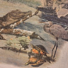 Southern Wetlands Okefenokee Shirt Mens Medium Beige Wildlife Graphic Tee Gildan