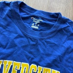 University of Alaska Fairbanks Nanooks Champion Long Sleeve Shirt Blue Size M