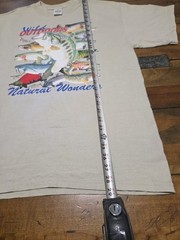 Vintage The Wild Side Shirt L Fish Collage Wild Outdoors Natural Wonders 90s