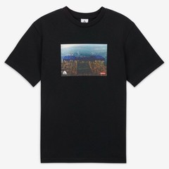 Supreme x Nike ACG Grid T-Shirt (Black) XL DO6860-010