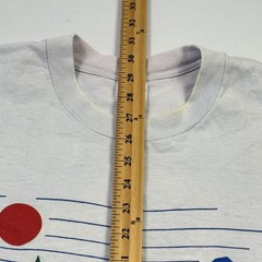 Vintage Stedman Shirt Mens XL Gray Ludington State Park Camping Graphic Tee USA