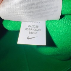 NWT Nike Oregon Ducks 2025 Sideline Coach Green Long Sleeve Fleece T-Shirt Small