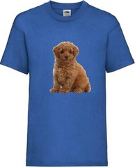 Toy Poodle Brown Dog Pet Family Novelty T Shirt Various Colours And Sizes