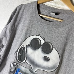 Vintage Peanuts Shirt Mens XL Grey Joe Cool Snoopy Changes 90s Made In USA*