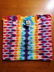 Vintage 2000s Fruit Of The Loom Blank Tie Dye T Shirt XL Rainbow Hippie y2k 90s