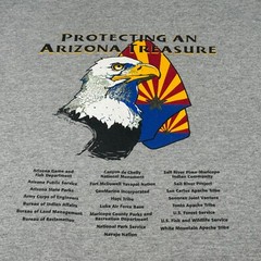 Bald Eagle Shirt Adult Large Gray Arizona Nest Watch Program Birds Nature Mens