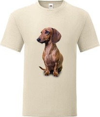 Brown Dachshund Dog Pet Friend Family Novelty T Shirt Various Colours And Sizes