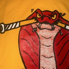 VTG 90s Single Stitch South Miami High Cobras Roller Hockey L Rolleredge Flagler