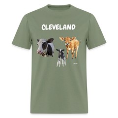 CAVS