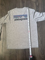 Patagonia Men’s Capilene Cool Daily Graphic Long-Sleeve Shirt in Feather Grey