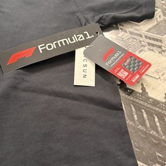 Pacsun | F 1 | T-Shirt | Speed of Light | There Is Only One | Men | Large