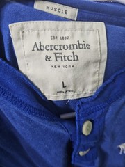 Abercrombie and Fitch Men’s Henley Tshirt Muscle Blue LARGE