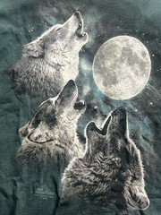 The Mountain Three Wolves Howling Moon T-Shirt Green 2001 Antonia Neshev Mens M